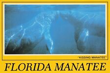 Florida Manatee's Kissing Vintage Continental Chrome Postcard Unposted picture