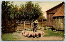 Tracy Minnesota~Farmer Feeds Hogs~Pours Slop~Pigs Gathered~Barns~c1915 Postcard picture