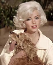 MARILYN MONROE - THE BEAUTY WITH A DOG  picture