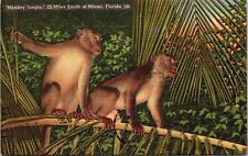 Monkey Jungle Miami Florida Fl Linen Wob Note Postcard picture