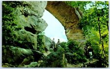 Postcard - Natural Bridge State Park - Kentucky picture