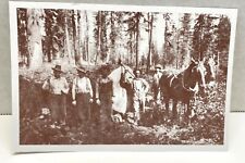 Tree Falling Crew Klamath Falls County Museum Oregon Postcard Souvenir Unposted  picture