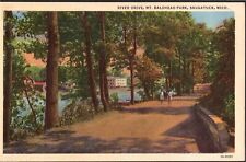 Postcard River Drive Mt Baldhead Park Saugatuck Michigan MI c1931 picture