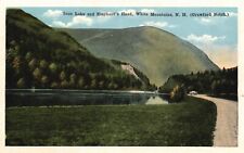 Postcard NH White Mts Crawford Notch Saco Lake & Elephant's Head Vintage PC f606 picture