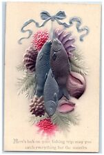 c1910's Catches Fishes Airbrushed Embossed Unposted Antique Postcard picture