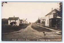 c1910's Cold Spring Avenue Border Collie Dog Collins NY RPPC Photo Postcard picture