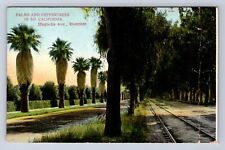 VINTAGE PALMS & PEPPERTREES SOUTH CALIFORNA MANOLA AVE RIVERSIDE POSTCARD FT picture