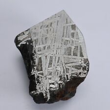 165g Muonionalusta meteorite slice R2022 picture