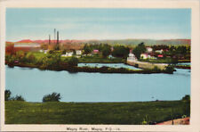 Magog River Magog Quebec QC Que Unused Peco Postcard H6 picture