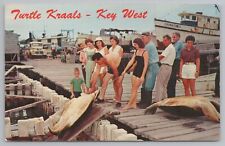 Key West Florida~Turtle Crawls on Dock~Bathing Beauty~Jordan Girls Boat~1960s PC picture