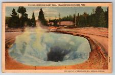 c1940s Morning Glory Pool Yellowstone Park Vintage Linen Postcard picture