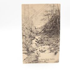 Roaring Brook Cheshire Connecticut CT 1910  Posted Postcard picture