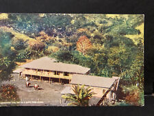 Puerto Rico, 1903, Coffee Culture , Tarjeta Postal /Postcard,  unused picture