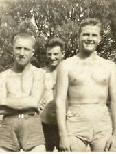 Zi Photograph Handsome Men Bathing Suits Bare Chest Muscles Group Portrait 1943 picture