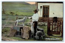 c1910's Feeding Orphan Lambs Frontier Cowboy Scene Unposted Vintage Postcard picture