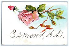 Esmond South Dakota SD Postcard Flowers Rose Glitter 1908 Vintage Antique Posted picture