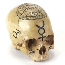Realistic Alchemy Skull Figurine 6.5