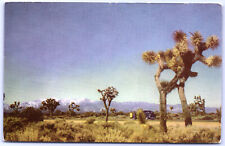 Postcard CA Joshua Trees Mojave Desert Union 76 Scenes of the West c.1940's K11 picture