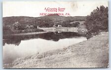 Postcard - A Country Scene Picnicking near NewColumbia Pennsylvania PA picture