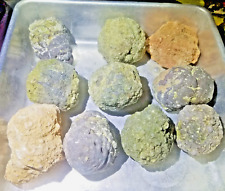 (3+ LBS) = (10 Uncut Thundereggs) Oregon Rough Opal Agate Geode(  ) picture