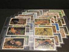 1984 Grandee / Player Britain's Endangered Wildlife Set of 32 Cards Sku270S picture