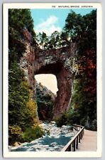 Natural Bridge Virginia River Rock Formation Historic Rockbridge County Postcard picture