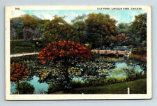 c1924 WB Postcard Chicago IL Lily Pond Lincoln Park picture