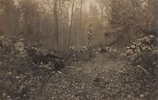 NW Honor Platte River Junction MI RPPC DEEP IN THE WOODS Logging Lumber History picture