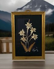 Vtg Framed Real Natural Edelweiss Pressed Dried Flower Wall Art Home Decor Gift picture