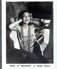 Vintage Photo 1932 sexy Dolores del Rio BIRD OF PARADISE 80's reproduction picture
