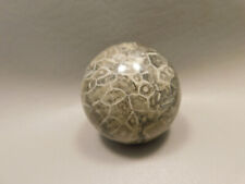 Agatized Coral Jasper Stone Sphere 2 inch or 50 mm Ball #O1 picture