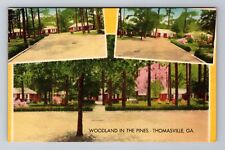 Thomasville GA-Georgia, Woodland In The Pines, Antique Souvenir Vintage Postcard picture