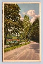 Biltmore NC-North Carolina, Bridge Bass Lake, Biltmore House, Vintage Postcard picture