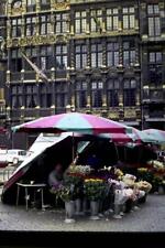35mm Colour Slide- Flower Market , Brussels 1970's   Belgium picture
