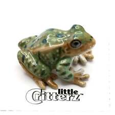 Little Critterz Green Frog - Leopard Frog 