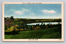Linen Postcard A Typical Cape Cod Scene Massachusetts picture