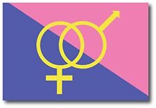 Magnet Me Up Straight Pride Flag Car Magnet Decal, 4x6 Inches, Pink Blue and Yel picture
