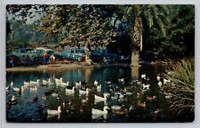 Hillcrest Park Fullerton California Vintage Postcard Posted 1956 Duck Pond picture