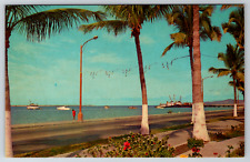 c1960s The Dike La Paz Mexico Palm Trees Vintage Postcard picture