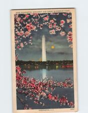 Postcard Washington Monument and Cherry Blossoms by Night Washington DC USA picture
