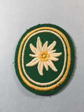 Vintage Bundeswehr 1st. Mountain Div. sew-on color patch picture