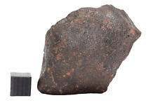 Meteorite Chondrite NWA X 122.2g fragment picture