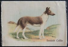 SMOOTH COLLIE Best Dogs of their Breed issued 1913 Tobaccos Silk picture