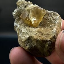 Excellent Twinned Calcite on Matrix - Irving Materials Quarry, Anderson, Indiana picture
