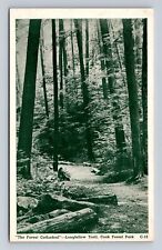 Cook Forest Park PA-Pennsylvania, Longfellow Trail, Vintage c1951 Postcard picture