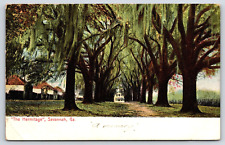 Original Old Vintage Outdoor Postcard Hermitage Plantation Savannah Georgia 1907 picture