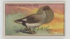 1910 ATC Bird Series T42 Mecca Factory 649 American Golden Eye Duck 0k5 picture
