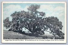 K1/ Circleville Ohio Postcard c1910 Historic Chief Logan Elm Native 500 picture