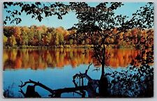 Greetings From Estherville Iowa IA Northland Lake Autumn Scene Postcard UNP VTG picture