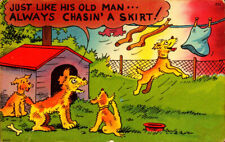 Just Like His Old Man, Always Chasing a Skirt - Dogs - Unposted Linen Postcard picture